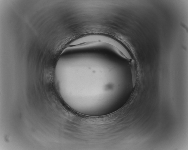 X0000099420017200805231640