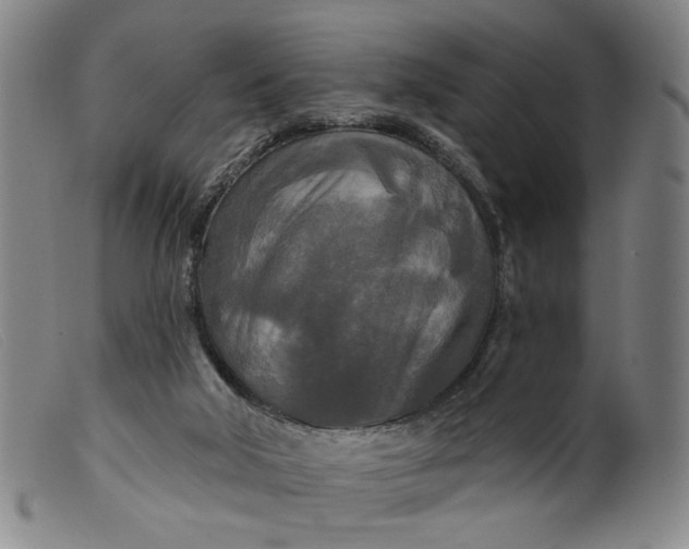 X0000099420018200805231640