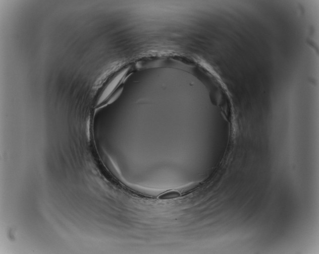 X0000099420019200805231640
