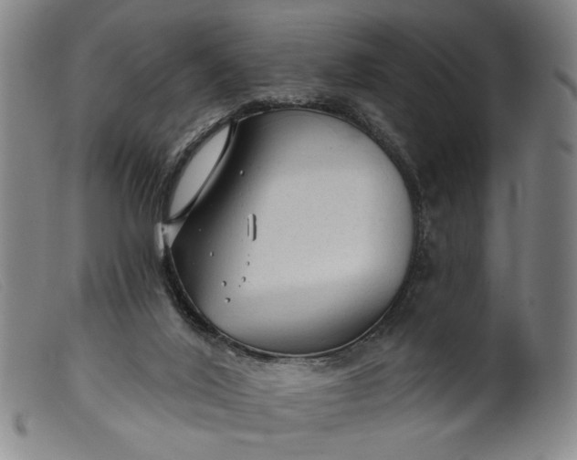 X0000099420020200805231640