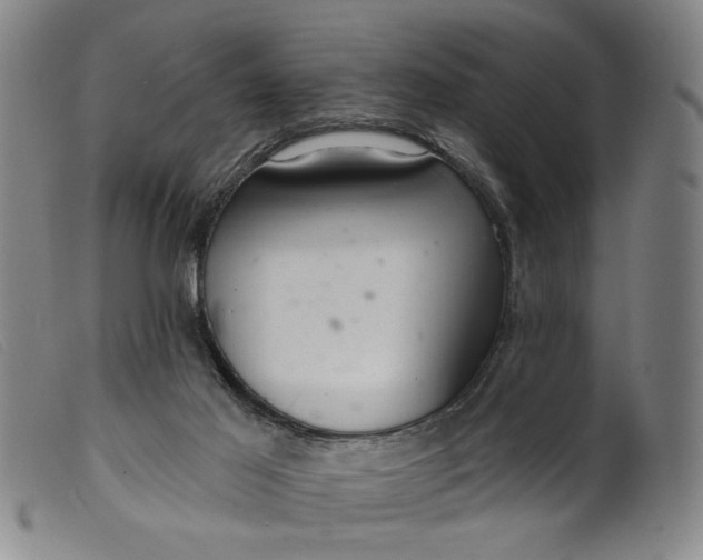 X0000099420021200805231640