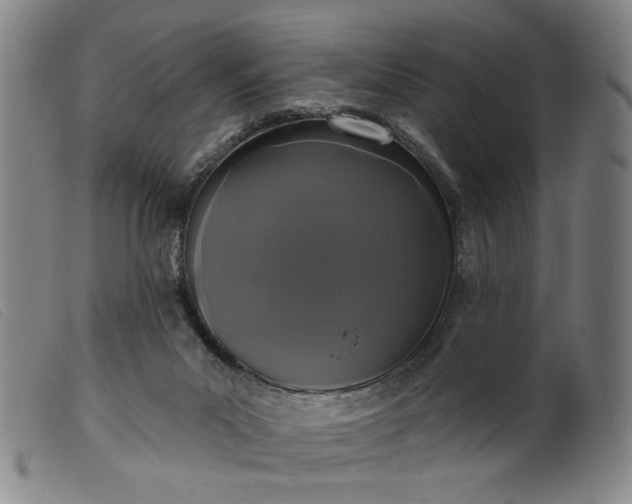 X0000099420023200805231640