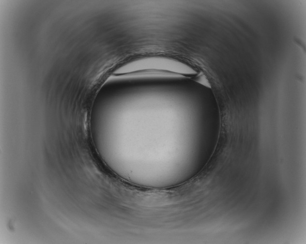X0000099420024200805231640