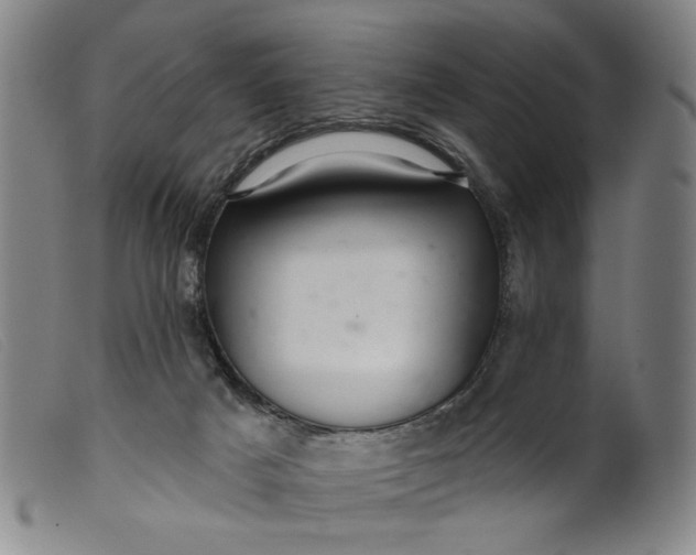 X0000099420025200805231640