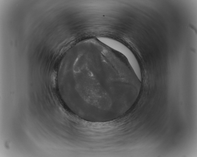 X0000099420026200805231640