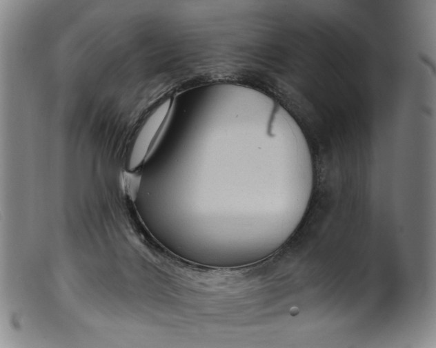 X0000099420028200805231640