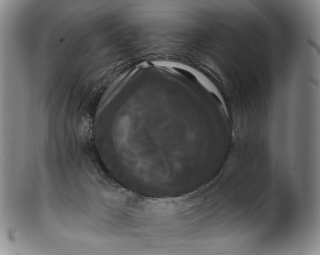 X0000099420029200805231640