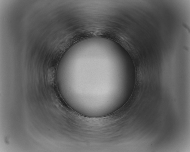 X0000099420030200805231640