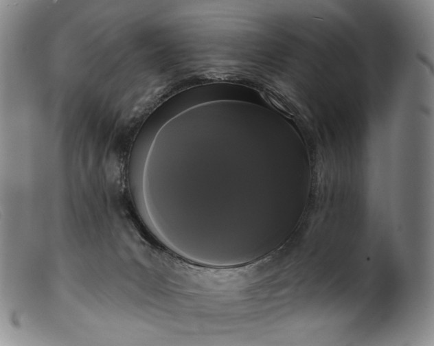 X0000099420031200805231640