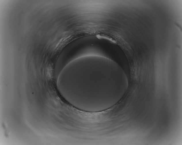 X0000099420035200805231640