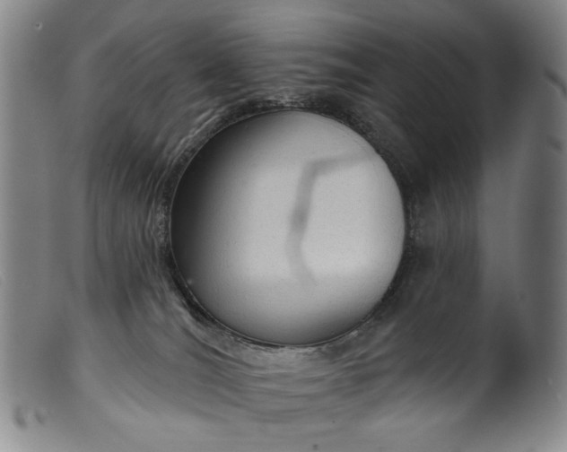 X0000099420036200805231640
