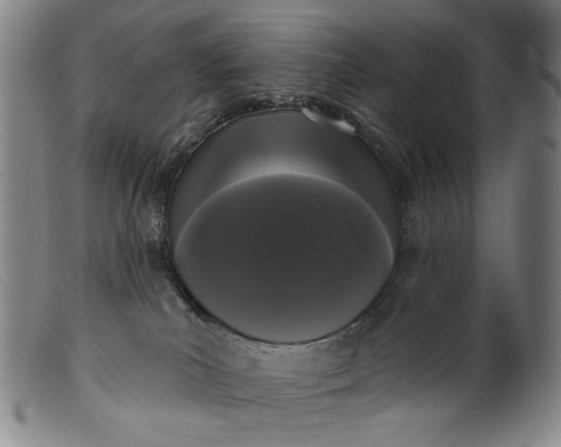 X0000099420039200805231640
