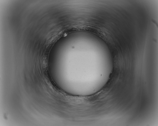 X0000099420040200805231640