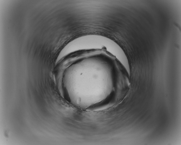 X0000099420041200805231640