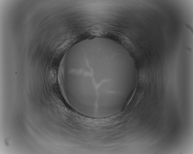 X0000099420043200805231640