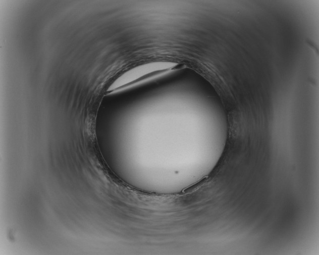 X0000099420044200805231640