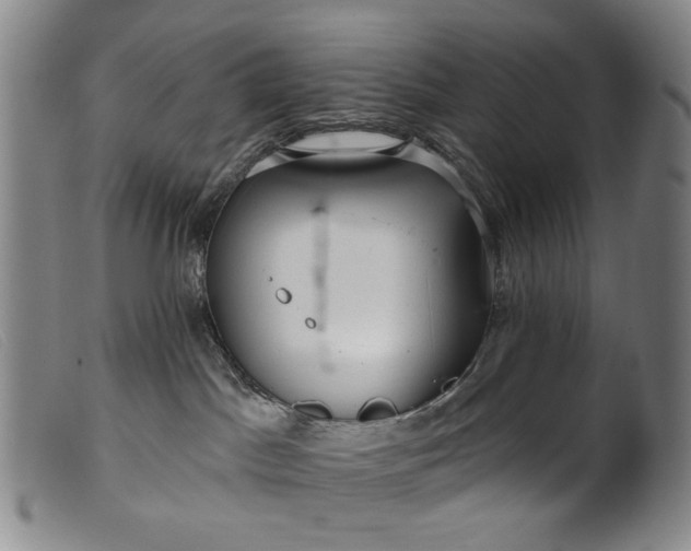 X0000099420045200805231640