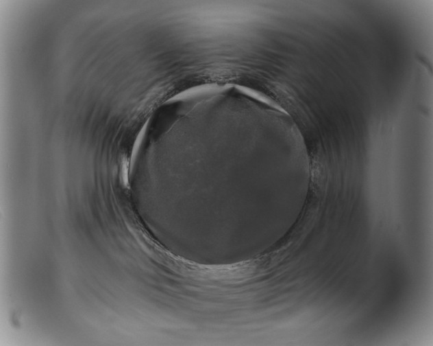 X0000099420046200805231640