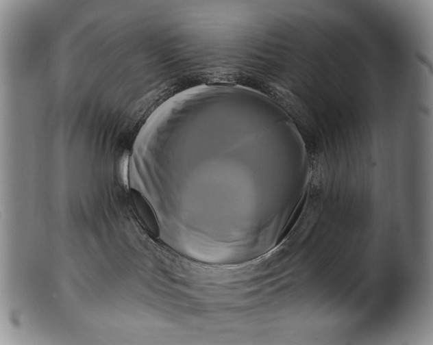 X0000099420047200805231639