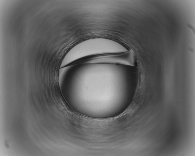 X0000099420048200805231639