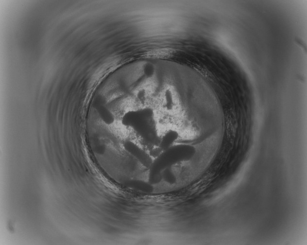 X0000099420049200805231639