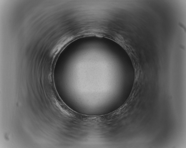X0000099420050200805231639