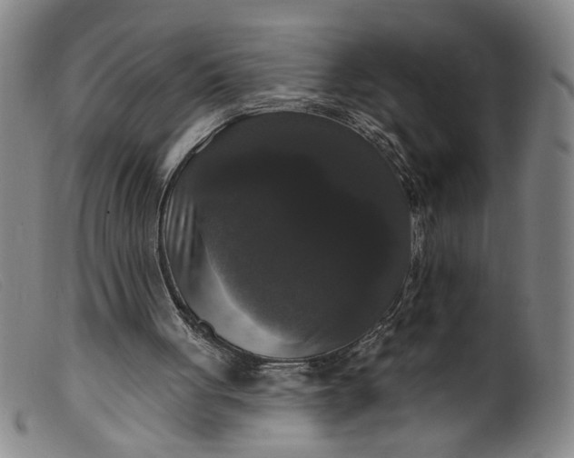 X0000099420051200805231639