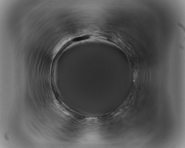 X0000099420052200805231639