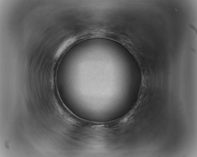 X0000099420054200805231639