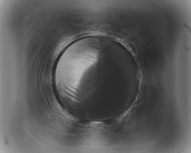 X0000099420055200805231639
