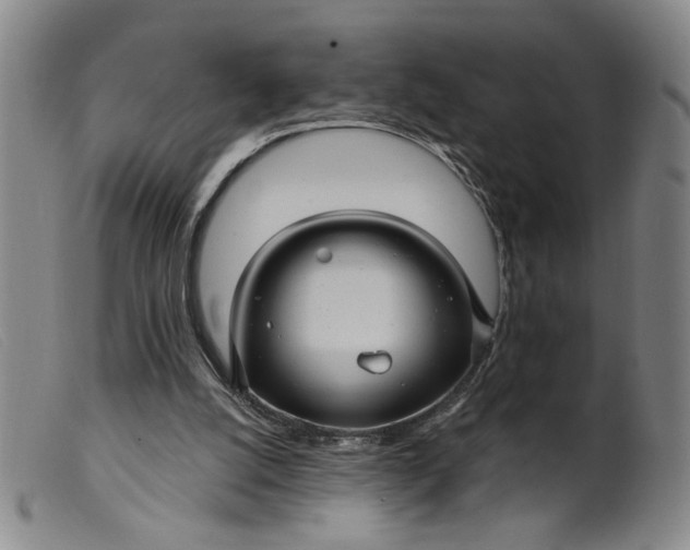 X0000099420056200805231639