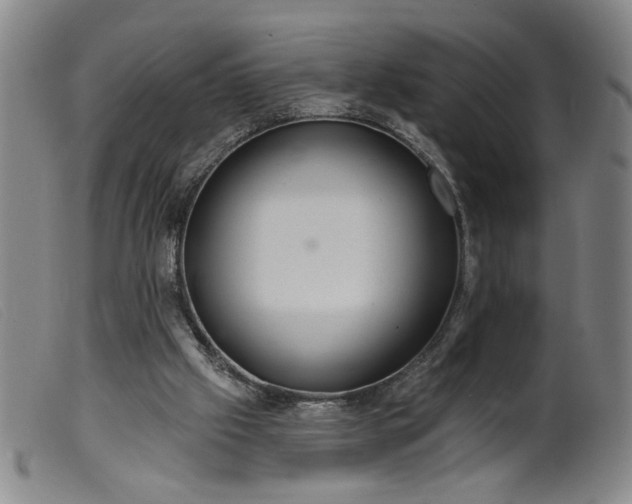 X0000099420057200805231639