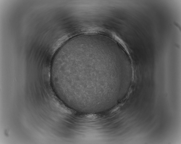 X0000099420059200805231639