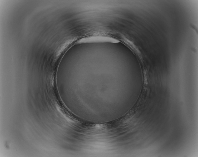 X0000099420060200805231639
