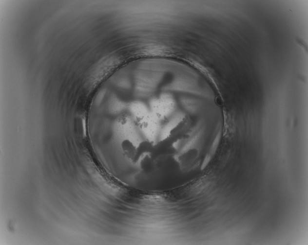 X0000099420061200805231639