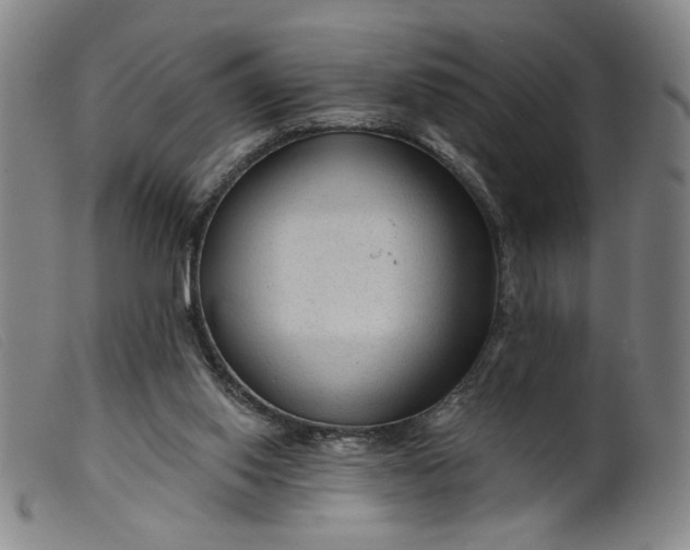X0000099420062200805231639