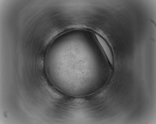 X0000099420063200805231639