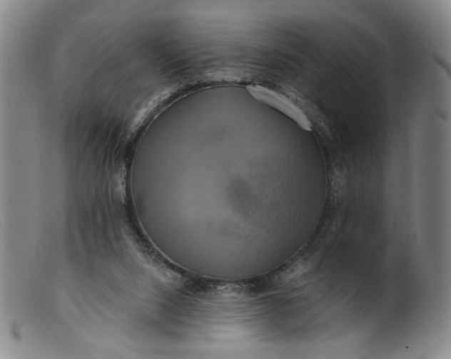 X0000099420064200805231639