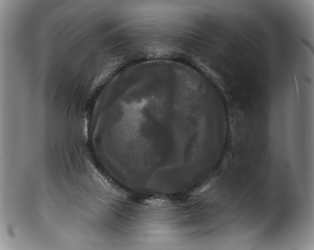 X0000099420067200805231639