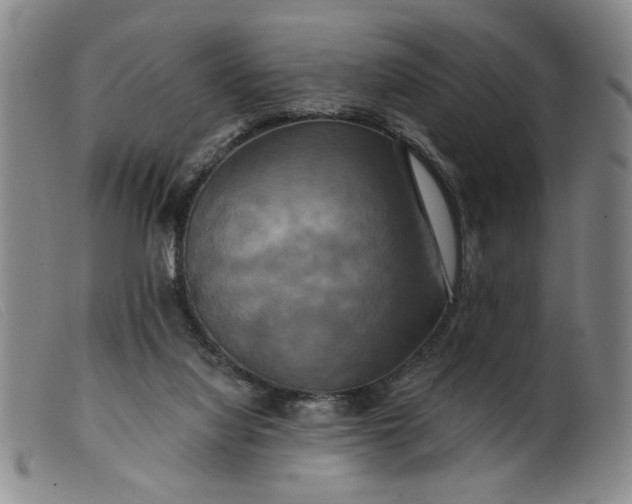 X0000099420068200805231639