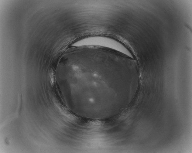 X0000099420069200805231639