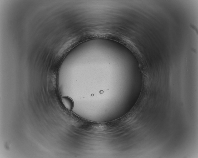 X0000099420071200805231639