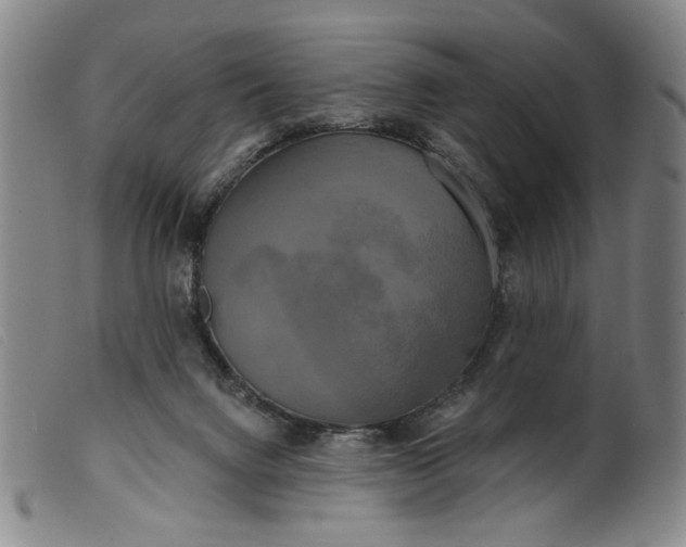 X0000099420072200805231639