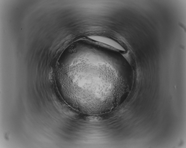 X0000099420073200805231639