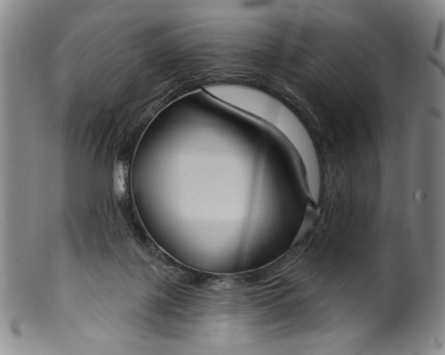 X0000099420075200805231639