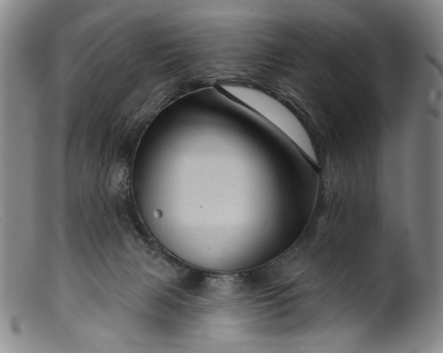 X0000099420079200805231639