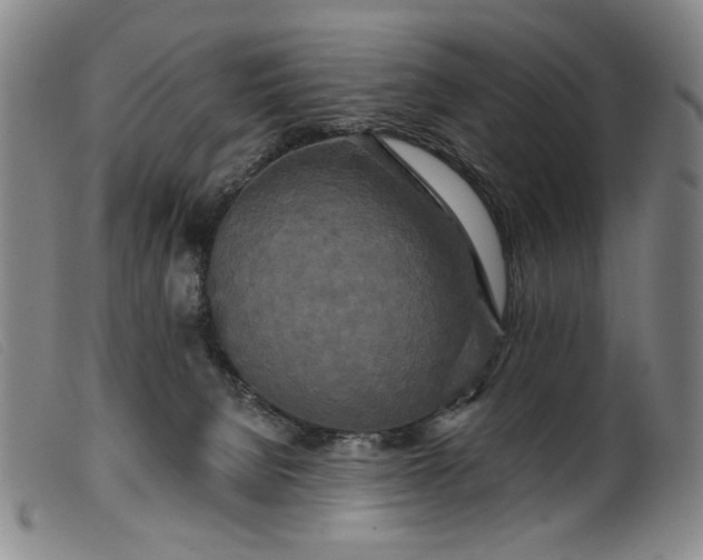 X0000099420080200805231639