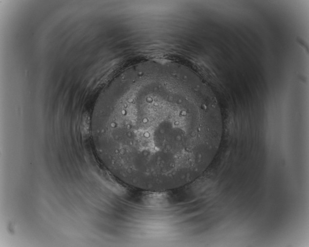 X0000099420081200805231639