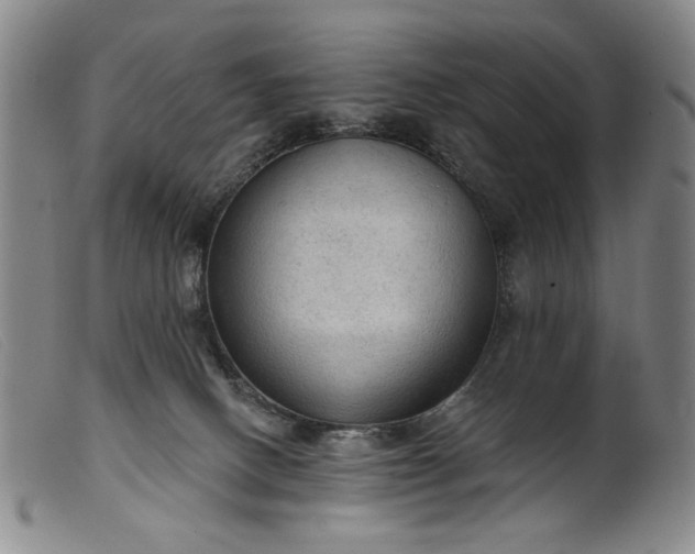 X0000099420082200805231639