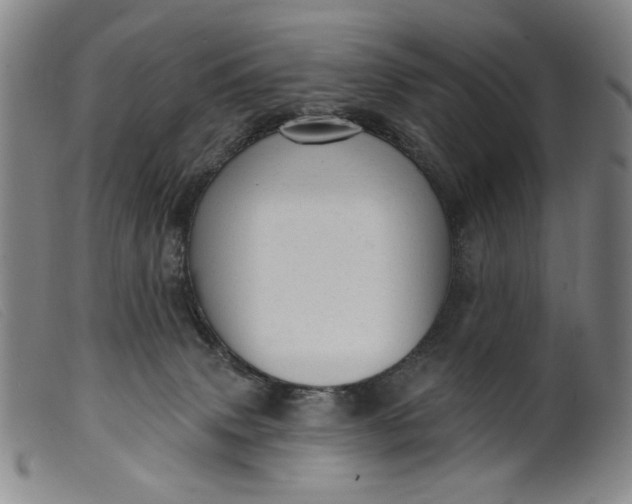 X0000099420083200805231639